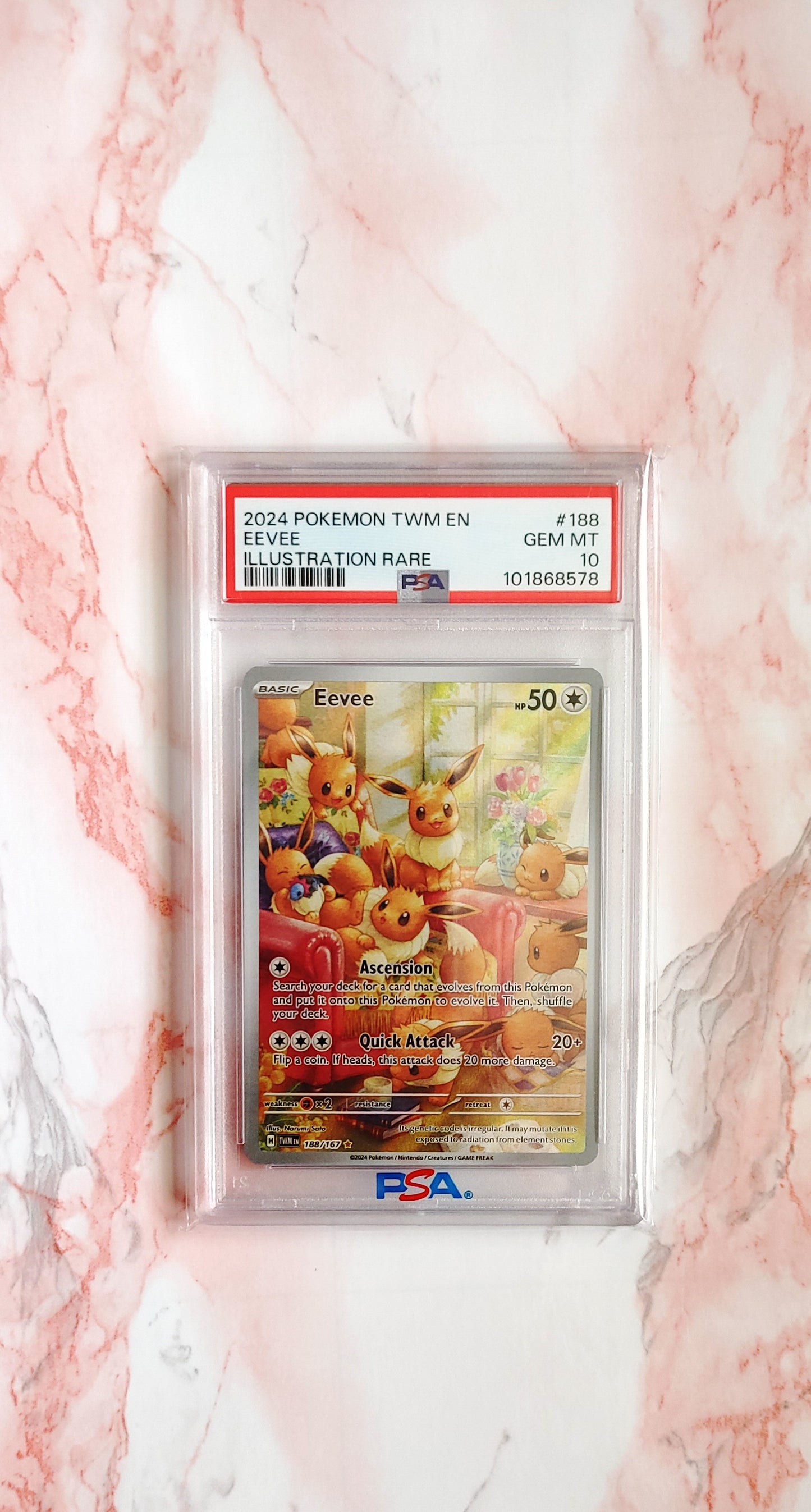 2024 EEVEE Illustration Rare PSA 10